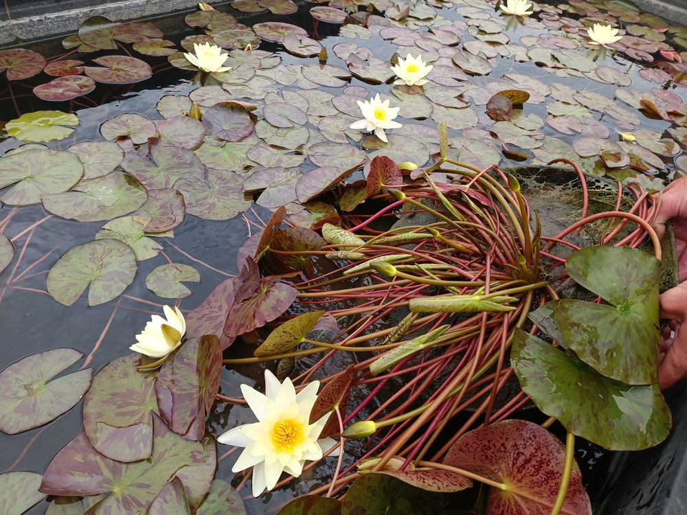 Фотография 2