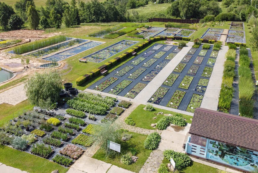 Питомник водных растений 