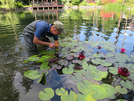 Другие услуги
