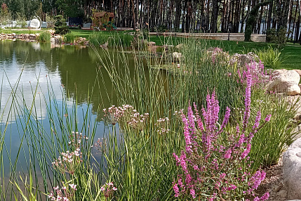 Строительство прудов